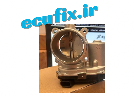 دریچه گاز دیگنیتی