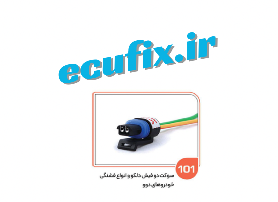 سوکت 2فیش دوویی(دلکو و فشنگی)